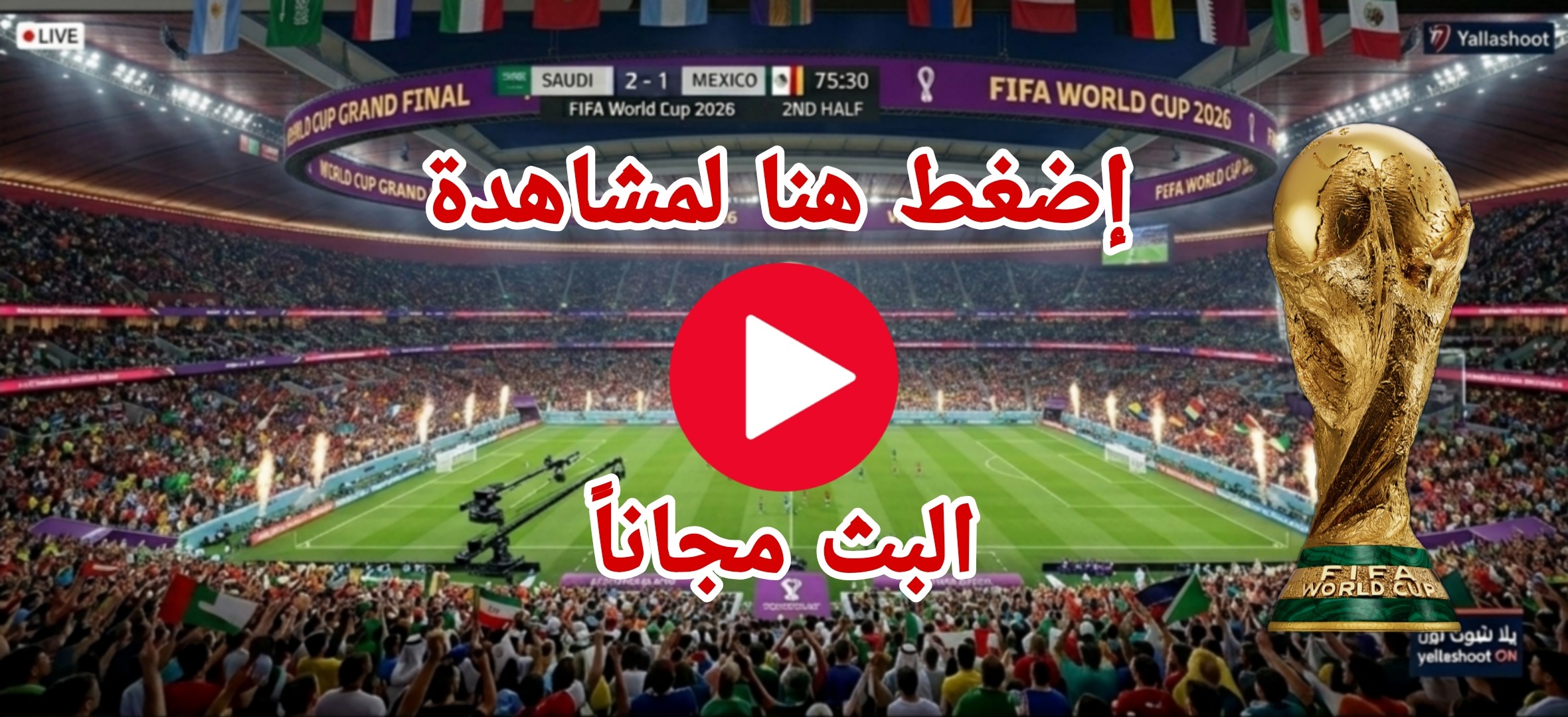 كأس العالم